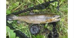 Colne Water Angling Club Open Days