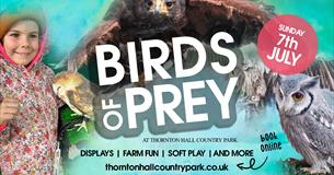 Birds of Prey at Thornton Hall Country Park