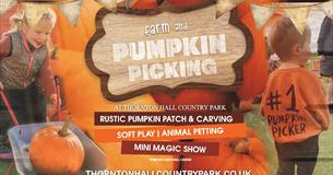 Farm and Pumpkin Picking