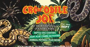 Crocodile Joe