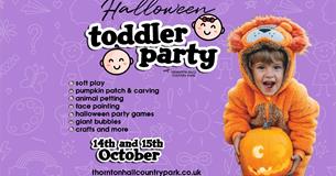 Halloween Toddler Party