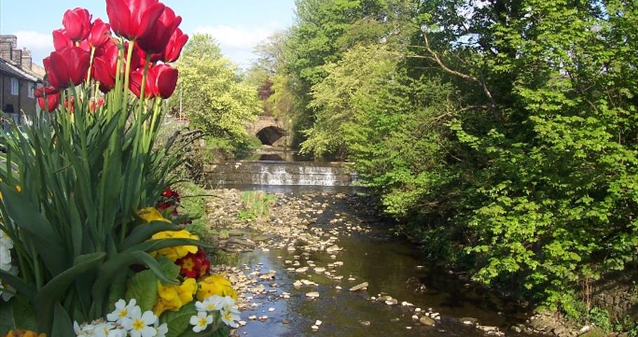 Picture of Pendle Water stream at Barrowford