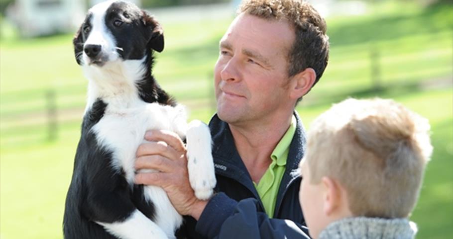 Picture of dog and man at Thornton Hall Farm