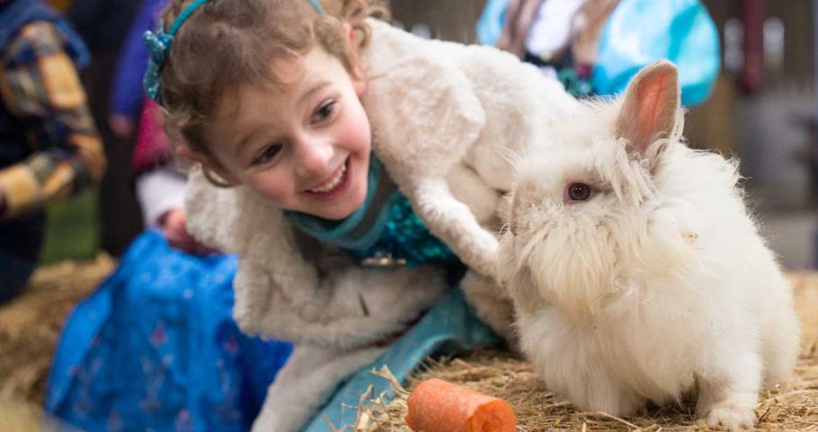 Picture of young girl and rabbit at Thornton Hall Farm