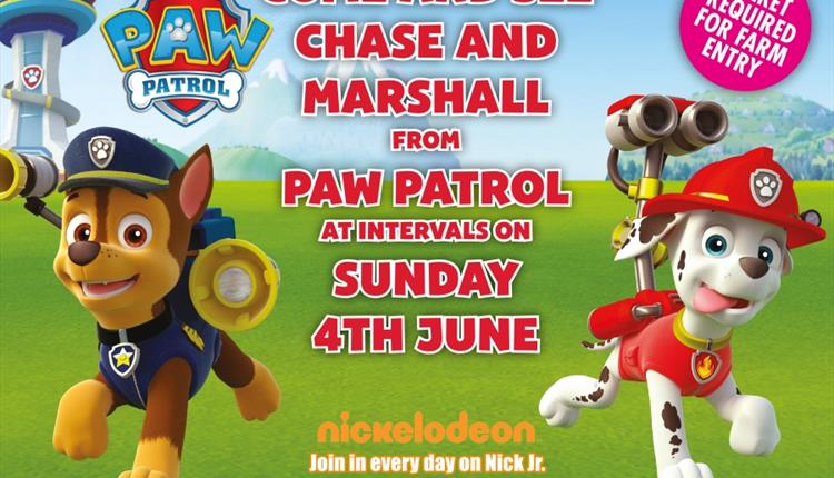 Paw patrol TM