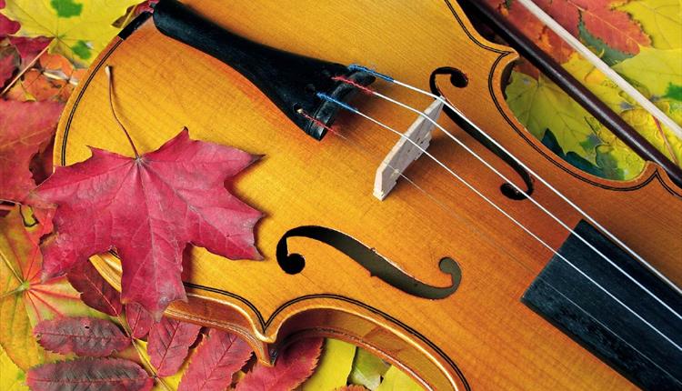 Colne Orchestra Presents an Autumn Concerto