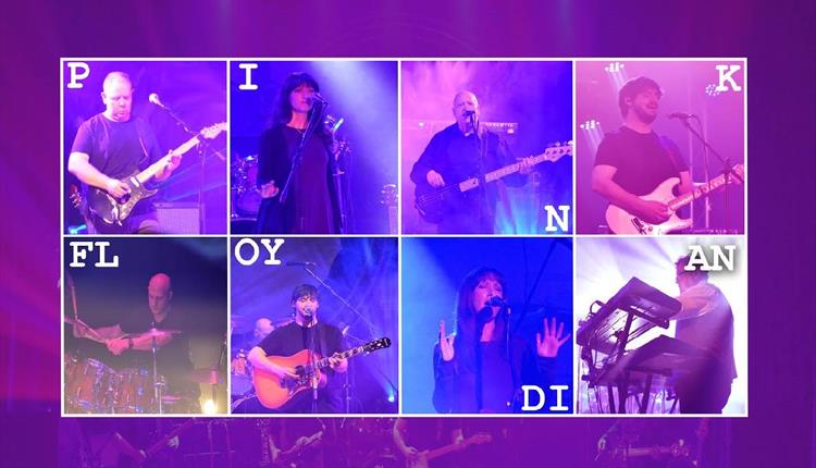 Pink Floydian