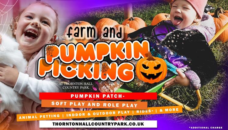 Toddler Pumpkin Picking at Thornton Hall Farm