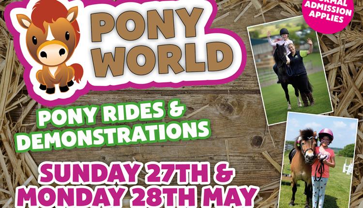Pony World at Thornton Hall Farm