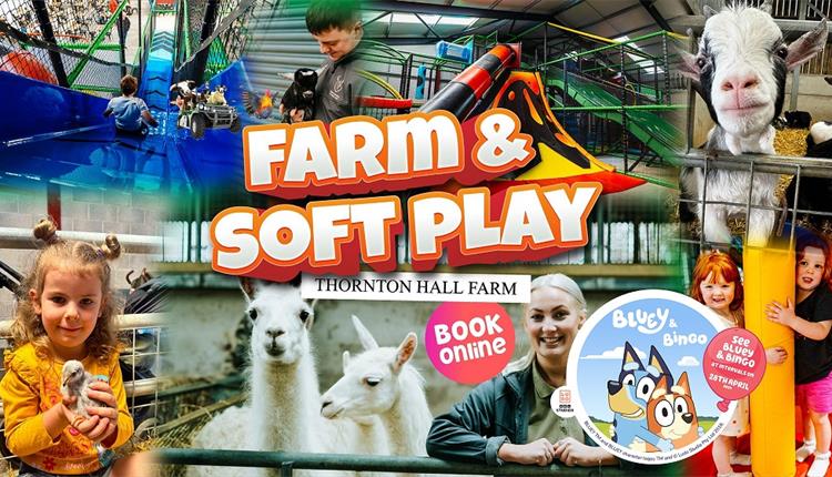Bluey and Bingo at Thornton Hall Country