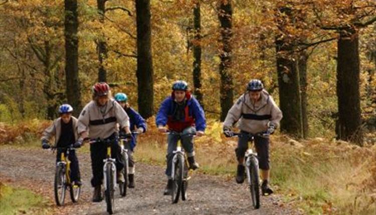HSBC Guided Cycle Ride