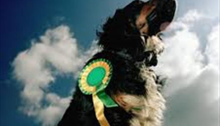 Roughlee Dog Show