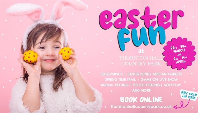 Easter Fun: Farm and Soft Play at Thornton Hall