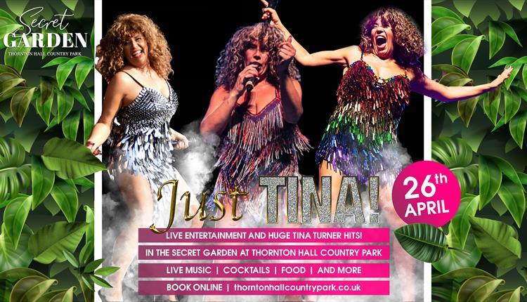 Just Tina Tribute