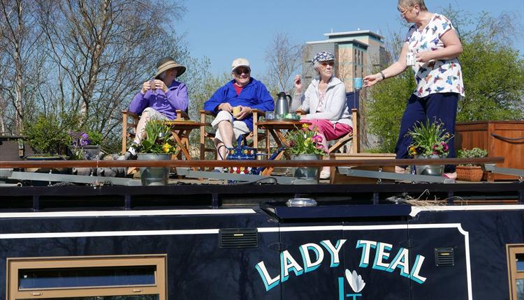 Lady Teal