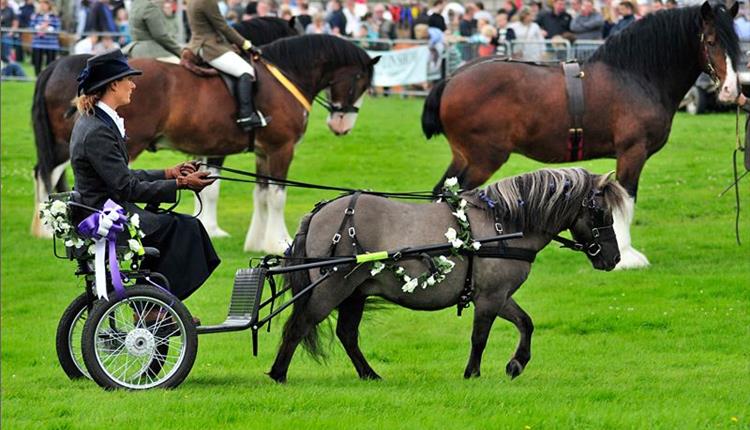 Trawden & District Agricultural Show