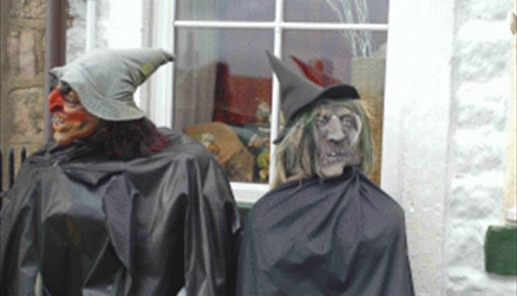 Witch Experience Bus Tour