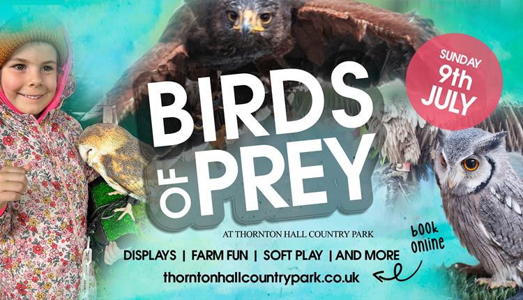 Birds of Prey at Thornton Hall Country Park
