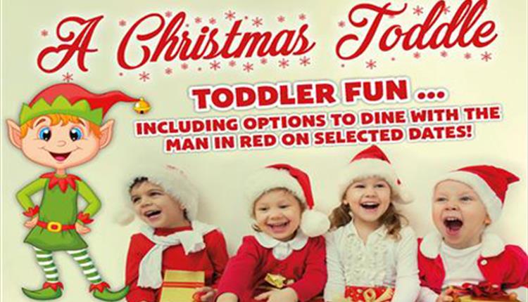 A Christmas Toddle at Thornton Hall Farm