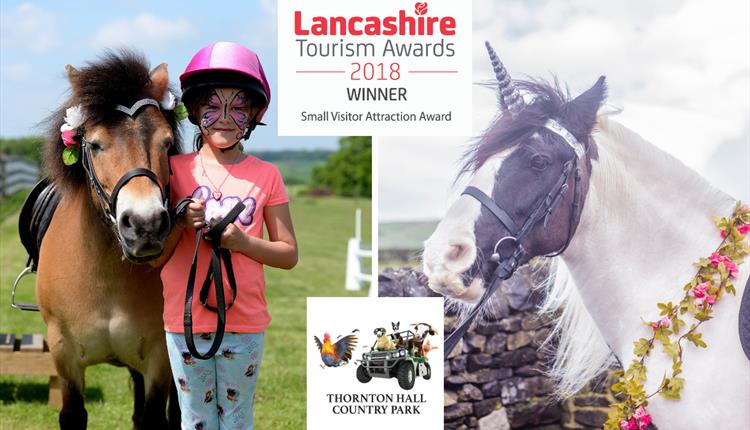 Pony World at Thornton Hall Country Park