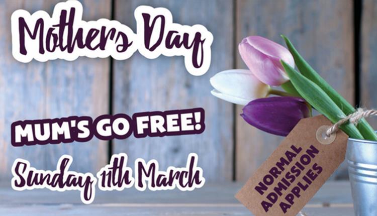 Mums Go Free this Mother's Day at Thornton Hall Farm