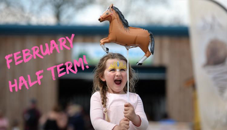 February Half Term at Thornton Hall Farm