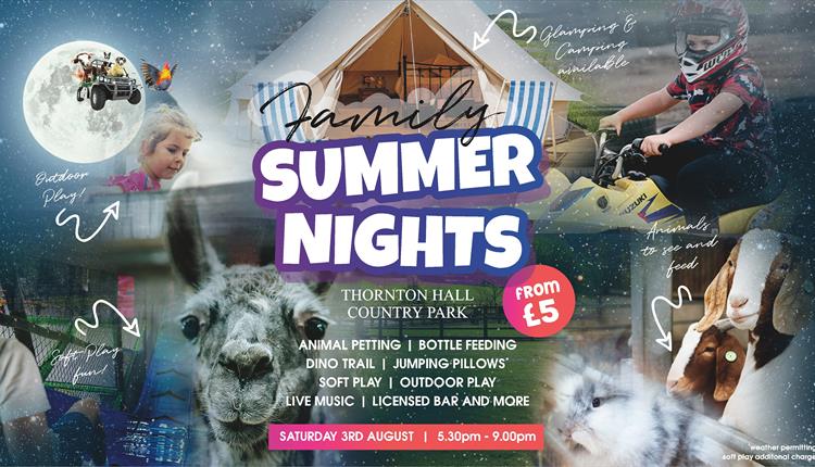 Family Summer Night