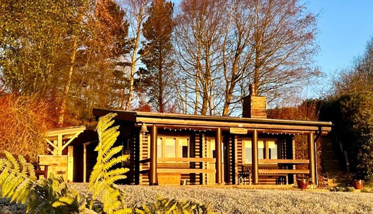 Whitemoor Lodge