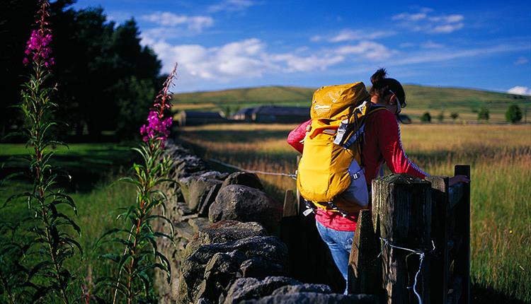 Winewall Circular Walks