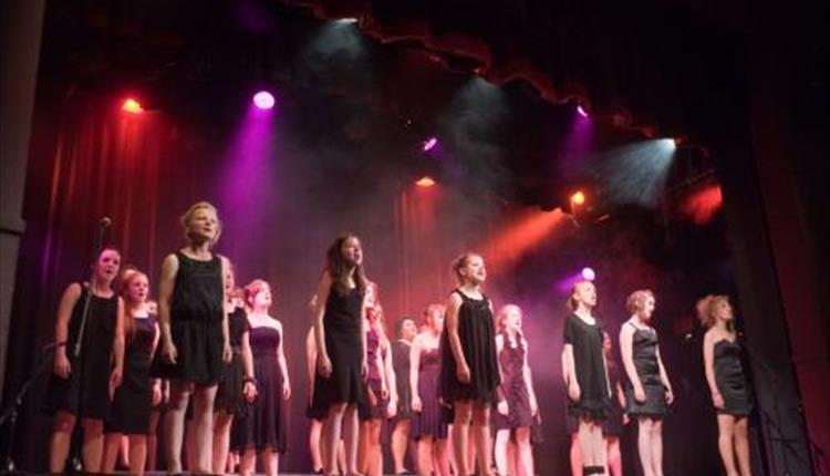 Arden Youth Choir - Summer Show 2013