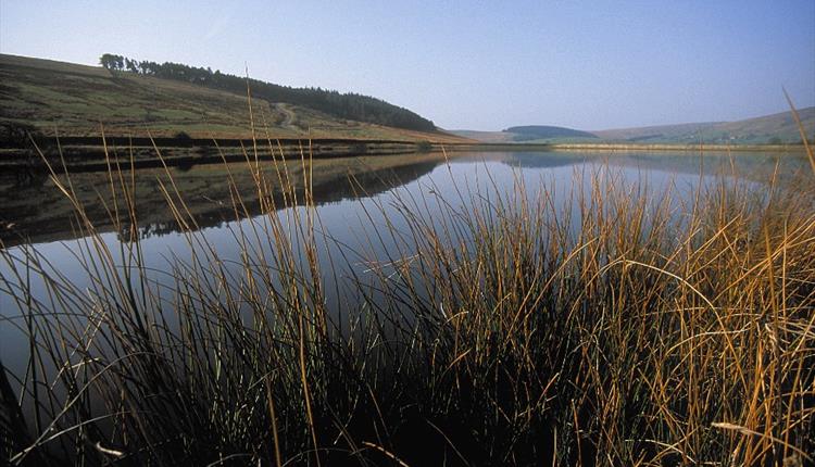 Pendle Reservoir Walks