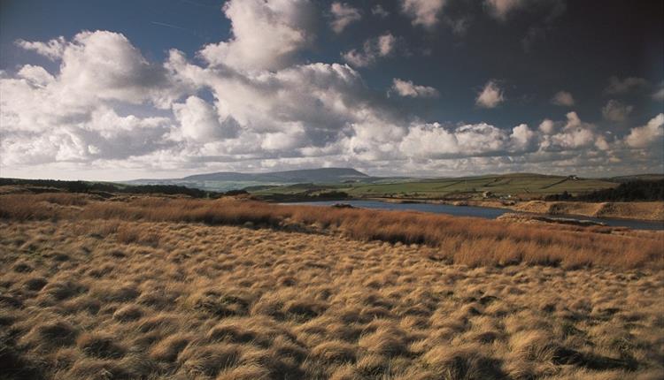 Pendle Way Section 5