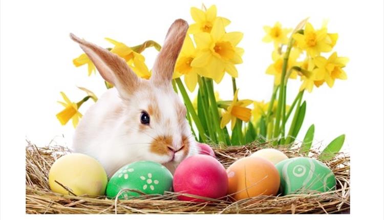 Easter at Colne Market