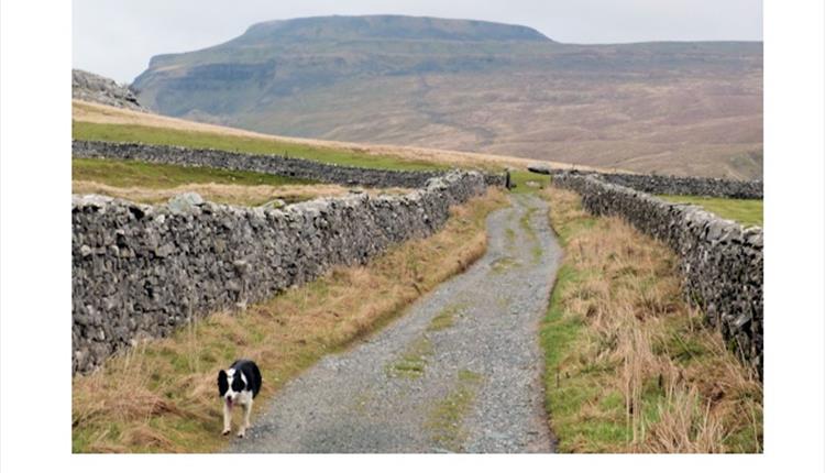 Ingleborough - A talk by David Johnson -  Rainhall Centre