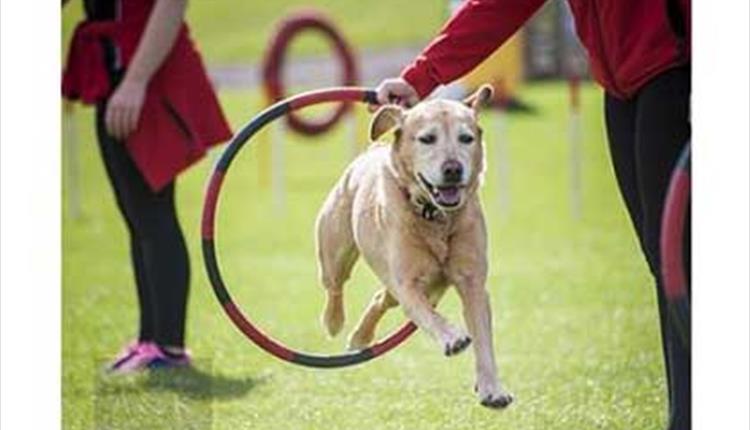 Easter Fun & K9 2000 Canine Display Team