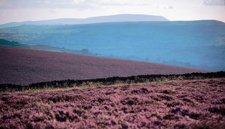 Kelbrook Circular Walk
