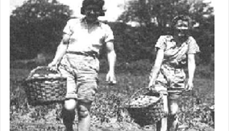 Lights Out Land Girls