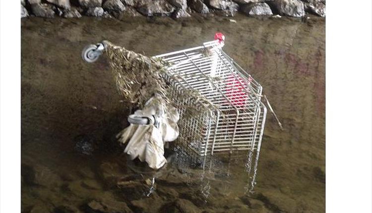 River Clean Up - Victoria Park, Nelson