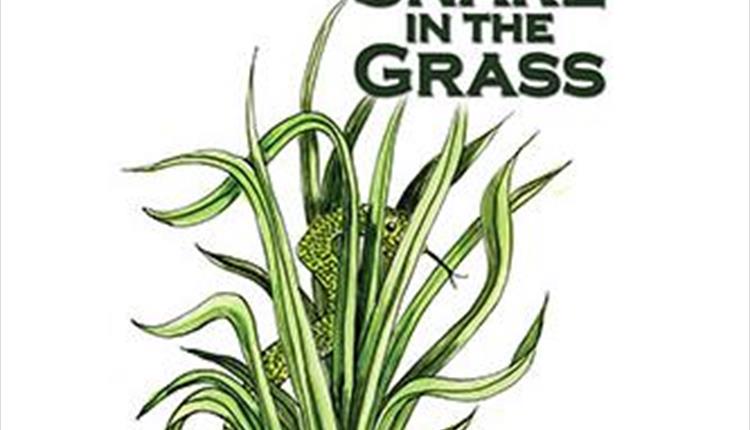 The Garrick - Snake in the Grass - by Alan Aykbourn