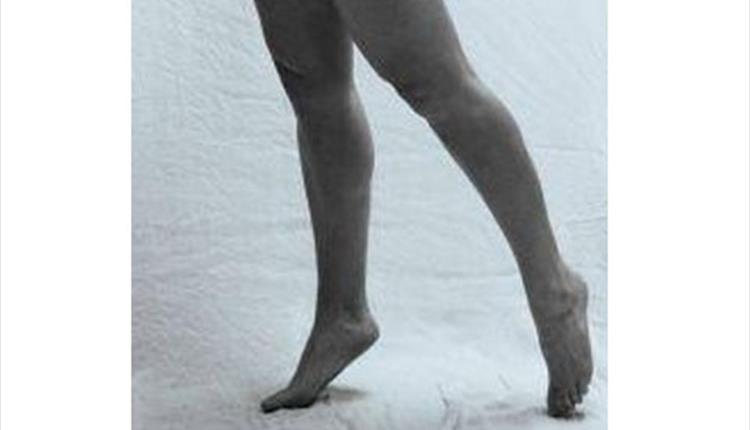 Stark Naked Exhibition