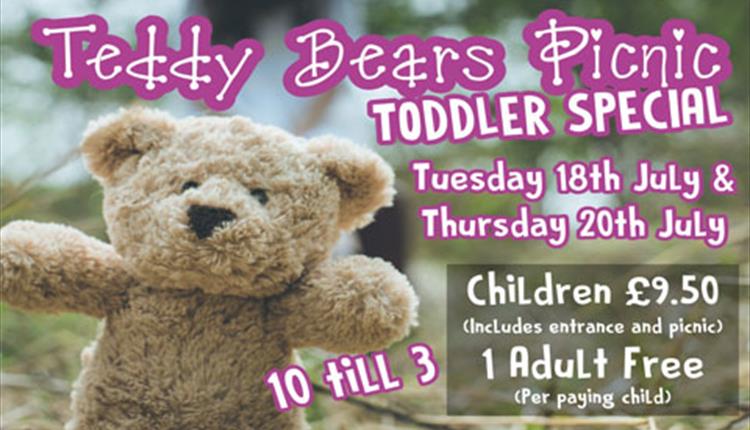 Teddy Bear's Picnic