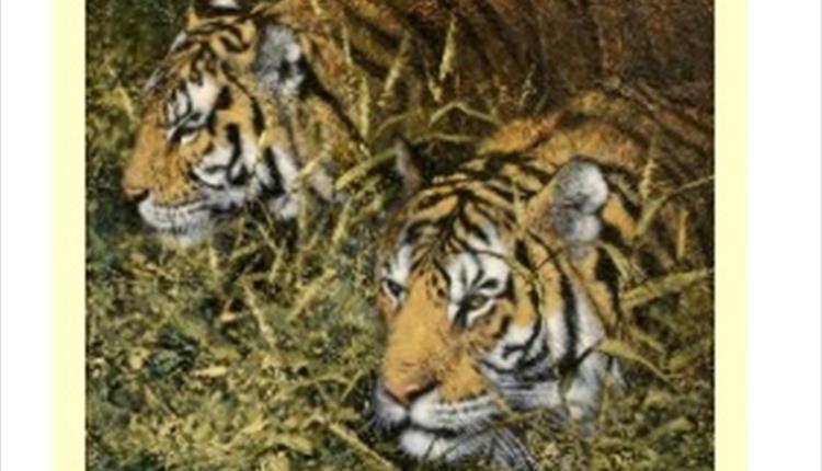 Pendle Artists 47th Annual Exhibition at the Ace Centre