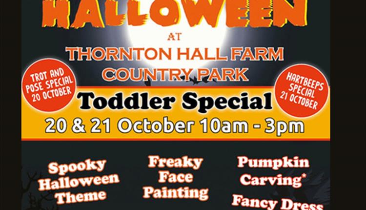 Halloween Toddler Special