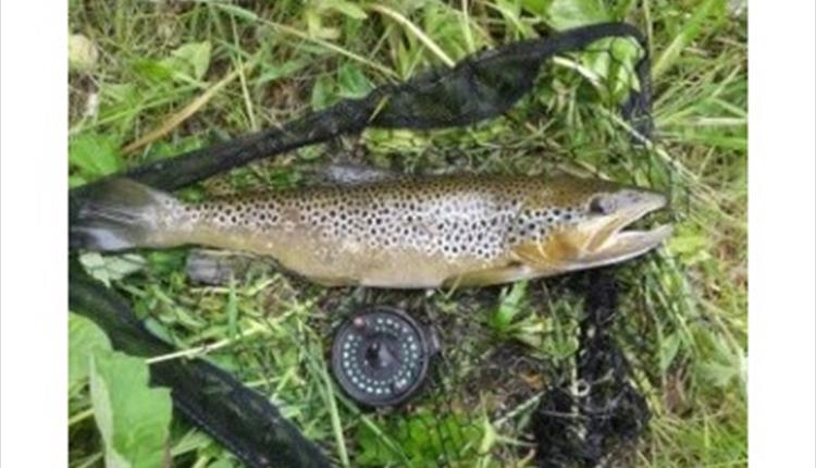 Colne Water Angling Club Open Days