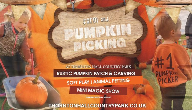 Farm and Pumpkin Picking