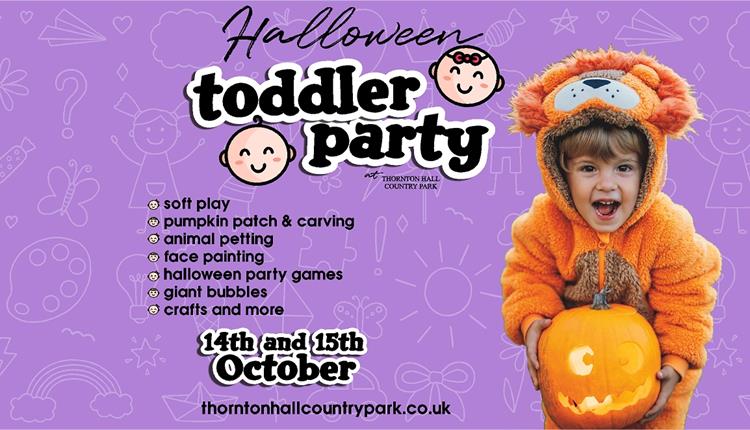 Halloween Toddler Party