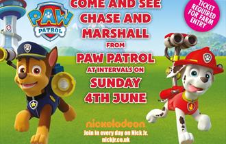 Paw patrol TM