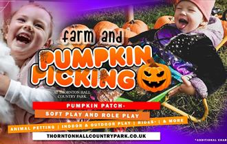 Toddler Pumpkin Picking at Thornton Hall Farm