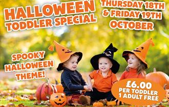 Toddler Halloween Party at Thornton Hall Farm