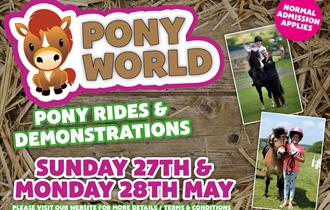 Pony World at Thornton Hall Farm